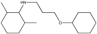 N-[3-(cyclohexyloxy)propyl]-2,6-dimethylcyclohexan-1-amine Struktur