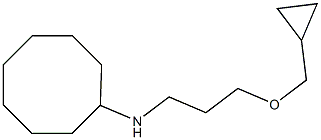 N-[3-(cyclopropylmethoxy)propyl]cyclooctanamine Struktur