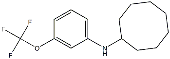 N-[3-(trifluoromethoxy)phenyl]cyclooctanamine Struktur