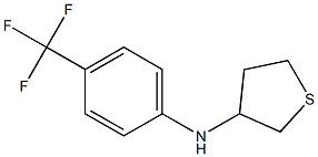 N-[4-(trifluoromethyl)phenyl]thiolan-3-amine Struktur