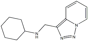 N-{[1,2,4]triazolo[3,4-a]pyridin-3-ylmethyl}cyclohexanamine Struktur