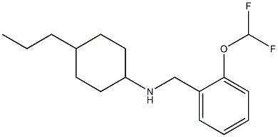 N-{[2-(difluoromethoxy)phenyl]methyl}-4-propylcyclohexan-1-amine Struktur