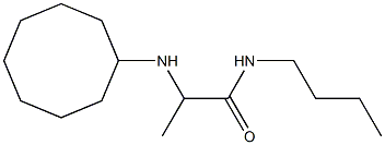 N-butyl-2-(cyclooctylamino)propanamide Struktur