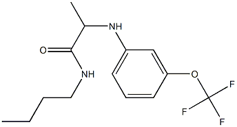 N-butyl-2-{[3-(trifluoromethoxy)phenyl]amino}propanamide Struktur