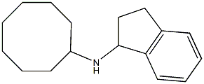 N-cyclooctyl-2,3-dihydro-1H-inden-1-amine Struktur