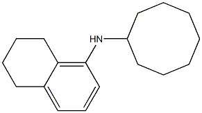 N-cyclooctyl-5,6,7,8-tetrahydronaphthalen-1-amine Struktur