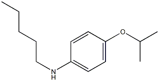 N-pentyl-4-(propan-2-yloxy)aniline Struktur