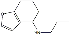 N-propyl-4,5,6,7-tetrahydro-1-benzofuran-4-amine Struktur