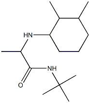 N-tert-butyl-2-[(2,3-dimethylcyclohexyl)amino]propanamide Struktur