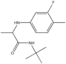 N-tert-butyl-2-[(3-fluoro-4-methylphenyl)amino]propanamide Struktur