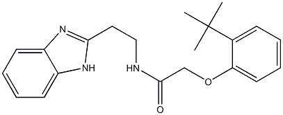 N-[2-(1H-benzimidazol-2-yl)ethyl]-2-(2-tert-butylphenoxy)acetamide Struktur