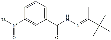 3-nitro-N'-[(E)-1,2,2-trimethylpropylidene]benzohydrazide Struktur