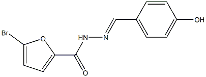 5-bromo-N'-[(E)-(4-hydroxyphenyl)methylidene]-2-furohydrazide Struktur