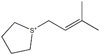 1-(3-Methyl-2-butenyl)tetrahydrothiophene-1-ium Struktur