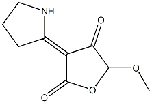 5-Methoxy-3-(2-pyrrolidinylidene)furan-2,4(3H,5H)-dione Struktur