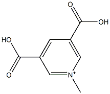 1-Methylpyridinium-3,5-dicarboxylic acid Struktur