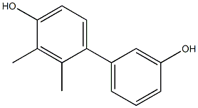 2,3-Dimethyl-1,1'-biphenyl-3',4-diol Struktur