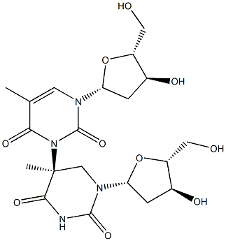 (5S)-5-(Thymidin-3-yl)-5,6-dihydrothymidine Struktur