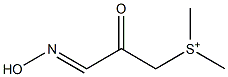 Dimethyl(3-hydroxyimino-2-oxopropyl)sulfonium Struktur