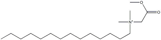 N-(Methoxycarbonylmethyl)-N,N-dimethyl-1-tetradecanaminium Struktur