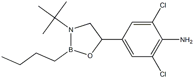 2-Butyl-3-tert-butyl-5-(4-amino-3,5-dichlorophenyl)-1,3,2-oxazaborolidine Struktur