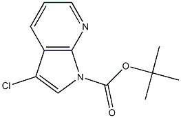 1-Boc-3-Chloro-7-azaindole Struktur