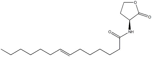 N-(7-tetradecenoyl)homoserine lactone Struktur