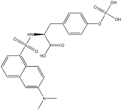 N-(6-(dimethylamino)naphthylsulfonyl)phosphotyrosine Struktur