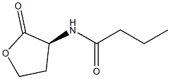 N-butyrylhomoserine lactone Struktur