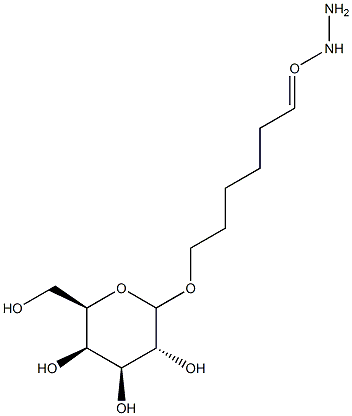 O-hydrazinocarbonylpentyl galactoside Struktur