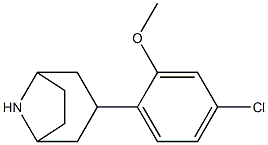 3-(4-chloro-2-methoxyphenyl)-8-azabicyclo[3.2.1]octane Struktur