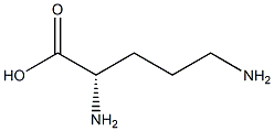 ORNITHINE, USP Struktur