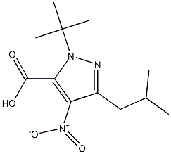 1-(1,1-DIMETHYLETHYL)-3-(2-METHYLPROPYL)-4-NITRO-1H-PYRAZOLE-5-CARBOXYLICACID Struktur