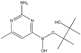 2-AMINO-6-METHYLPYRIMIDINE-4-BORONIC ACID PINACOL ESTER Struktur