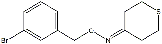 tetrahydro-4H-thiopyran-4-one O-(3-bromobenzyl)oxime Struktur