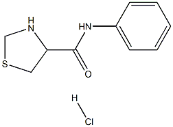 N-phenyl-1,3-thiazolidine-4-carboxamide hydrochloride Struktur