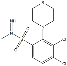 N1-imino(1,4-thiazinan-4-yl)methyl-3,4-dichlorobenzene-1-sulfonamide Struktur