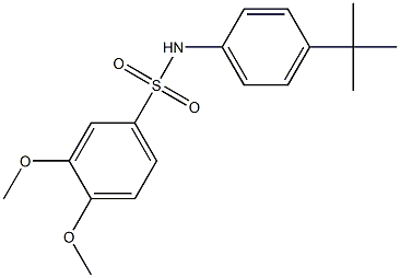 N1-[4-(tert-butyl)phenyl]-3,4-dimethoxybenzene-1-sulfonamide Struktur