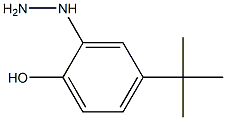 4-tert-butyl-2-hydrazinylphenol Struktur