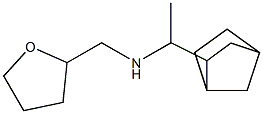 (1-{bicyclo[2.2.1]heptan-2-yl}ethyl)(oxolan-2-ylmethyl)amine Struktur