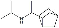 (1-{bicyclo[2.2.1]heptan-2-yl}ethyl)(propan-2-yl)amine Struktur