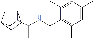 (1-{bicyclo[2.2.1]heptan-2-yl}ethyl)[(2,4,6-trimethylphenyl)methyl]amine Struktur