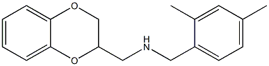 (2,3-dihydro-1,4-benzodioxin-2-ylmethyl)[(2,4-dimethylphenyl)methyl]amine Struktur