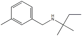 (2-methylbutan-2-yl)[(3-methylphenyl)methyl]amine Struktur