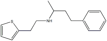 (4-phenylbutan-2-yl)[2-(thiophen-2-yl)ethyl]amine Struktur