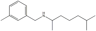 (6-methylheptan-2-yl)[(3-methylphenyl)methyl]amine Struktur