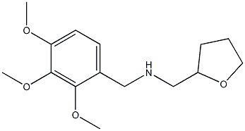 (oxolan-2-ylmethyl)[(2,3,4-trimethoxyphenyl)methyl]amine Struktur