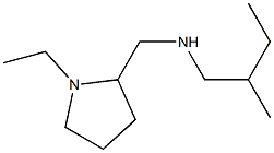 [(1-ethylpyrrolidin-2-yl)methyl](2-methylbutyl)amine Struktur