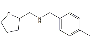 [(2,4-dimethylphenyl)methyl](oxolan-2-ylmethyl)amine Struktur