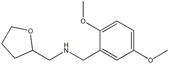 [(2,5-dimethoxyphenyl)methyl](oxolan-2-ylmethyl)amine Struktur